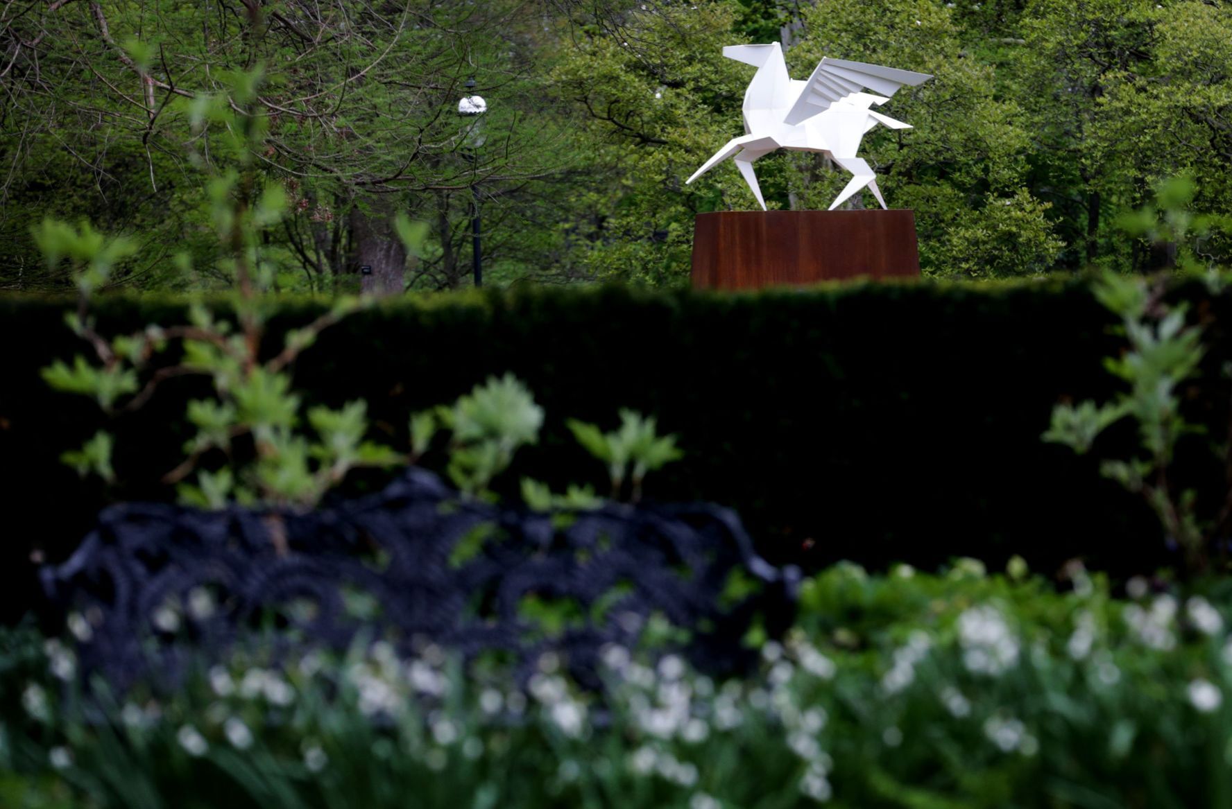 Scenes from Origami in the Garden